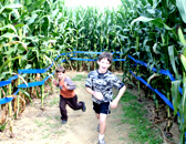 GIANT Corn Maze