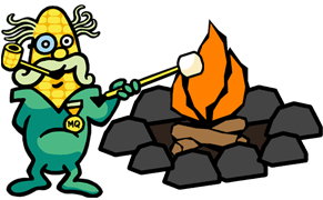 Campfires for Groups