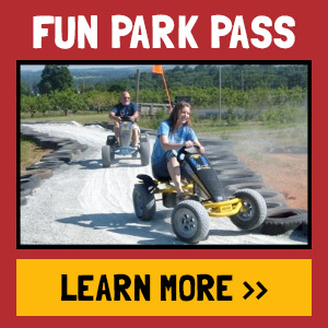 Group Fun Park Pass