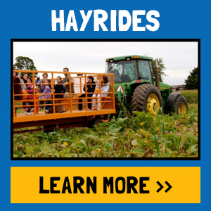 Private Hayrides and Fruit Tasting