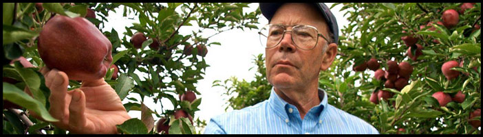 PYO Apples, Blueberries, Peaches, Cherries, and Pumpkins