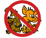 Pets not allowed