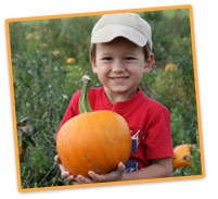 Pumpkin Picking