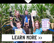 Giant Corn Maze