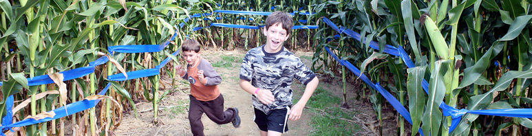 Maize Quest Corn Maze - York PA - Baltimore MD