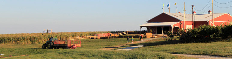 Maize Quest Fun Park - Southern York County PA