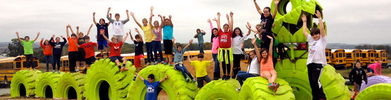 Tire Dinosaurs - Climbing Attraction (York PA)